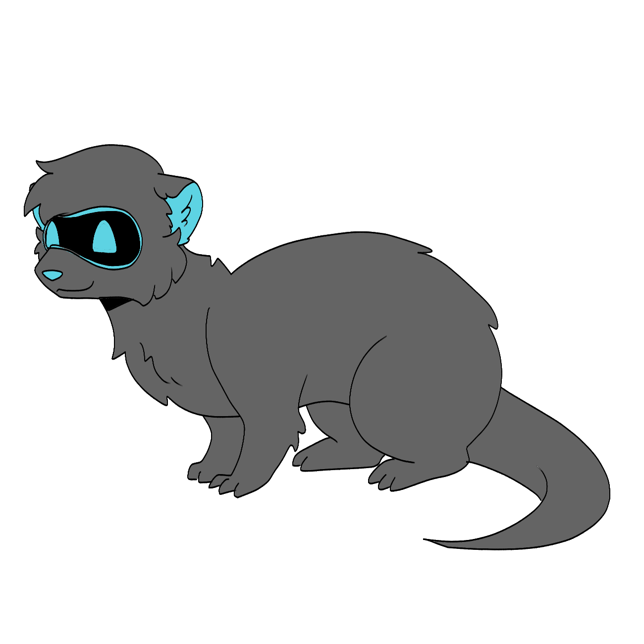 Other Mustelid Tail