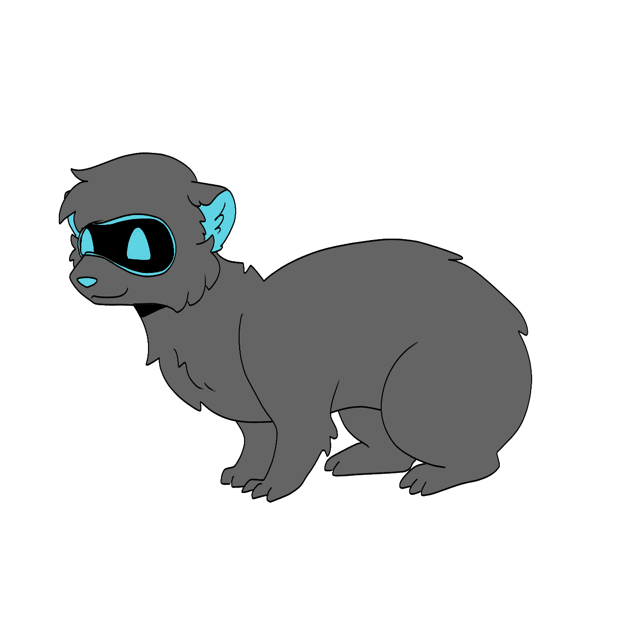 No Tail
